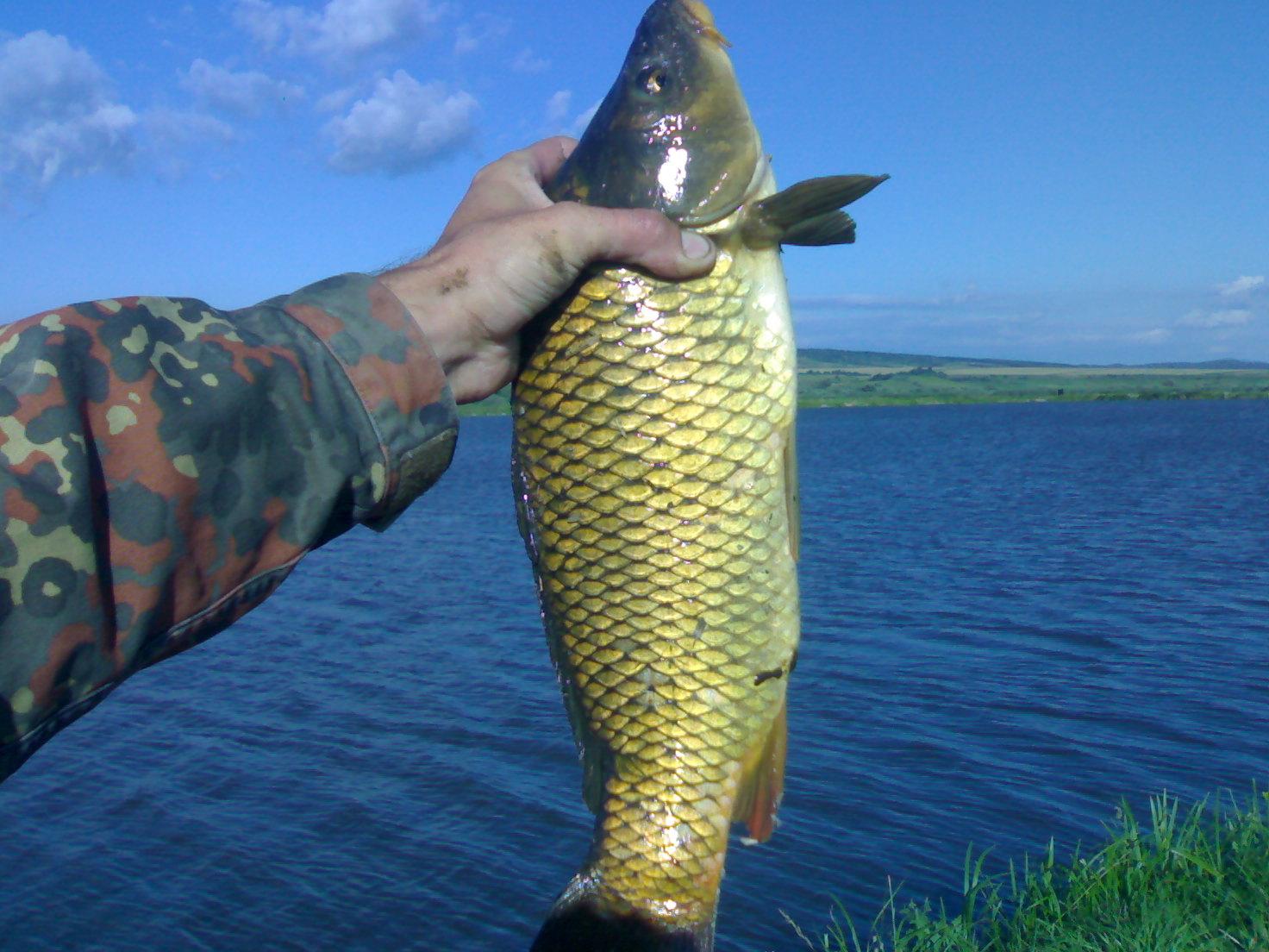 la crap - 13072009851.jpg